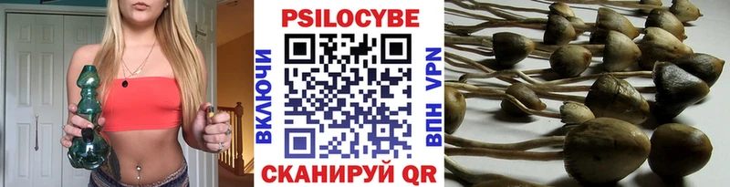 Псилоцибиновые грибы Cubensis  дарнет шоп  Мариинск 